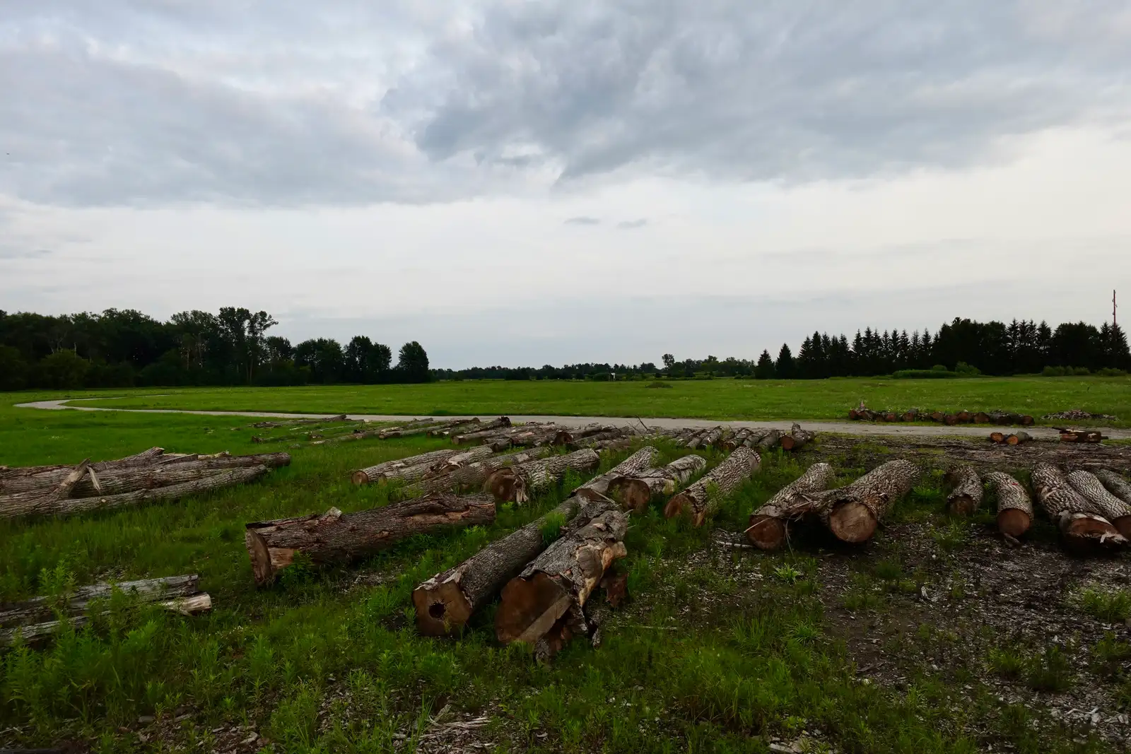 REDUCED!  Former Luberda Wood Products Facility image 8