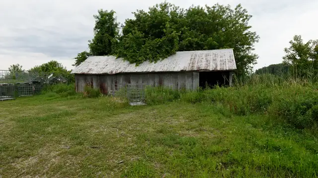 View image 11