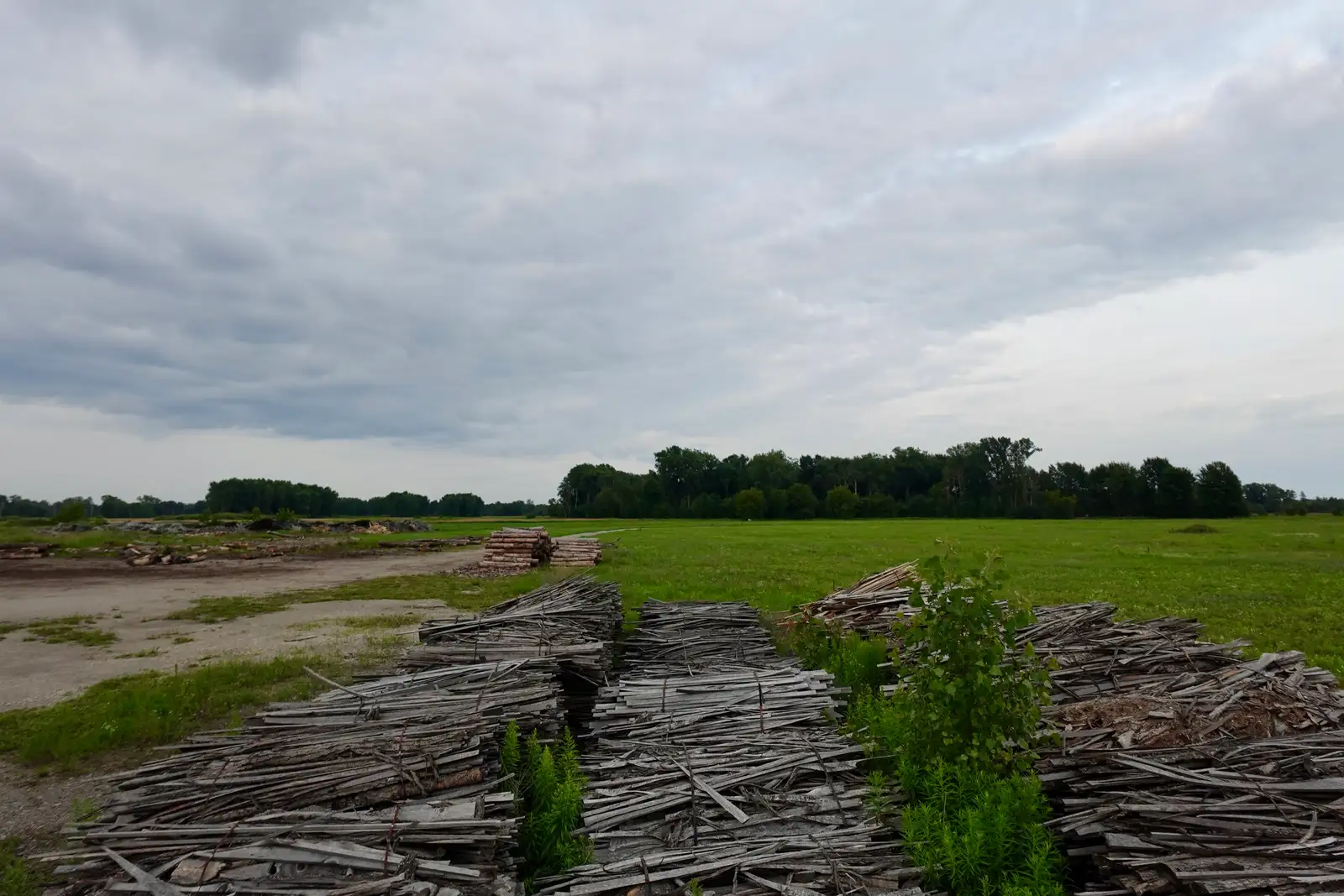 REDUCED!  Former Luberda Wood Products Facility image 27