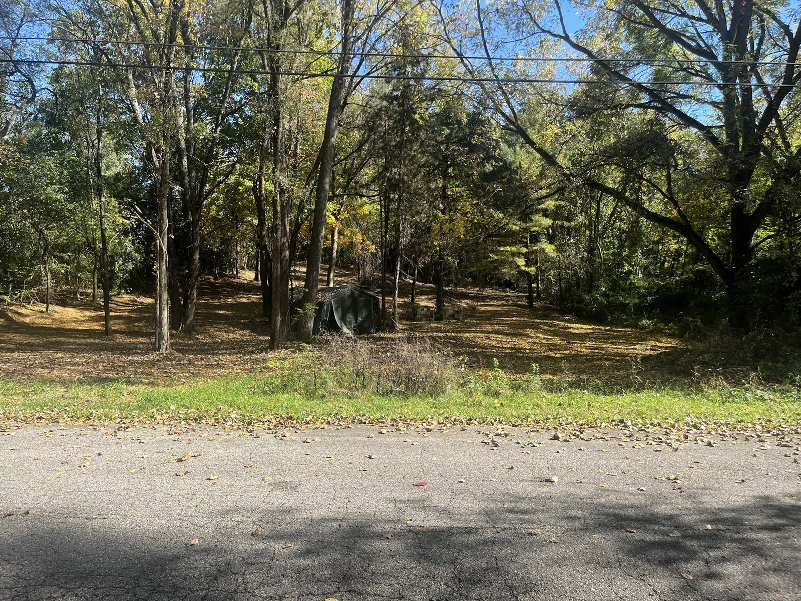 Residential Vacant lot for Sale in Ypsilanti image 5
