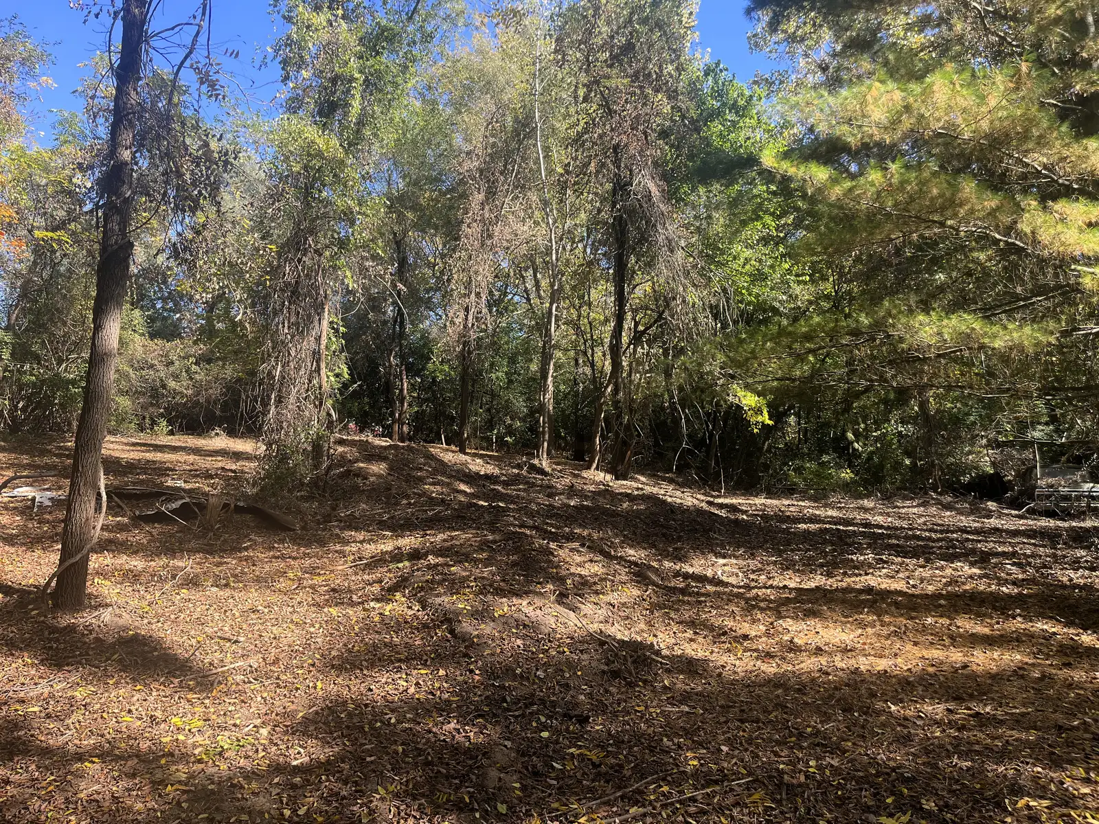 Residential Vacant lot for Sale in Ypsilanti image 9