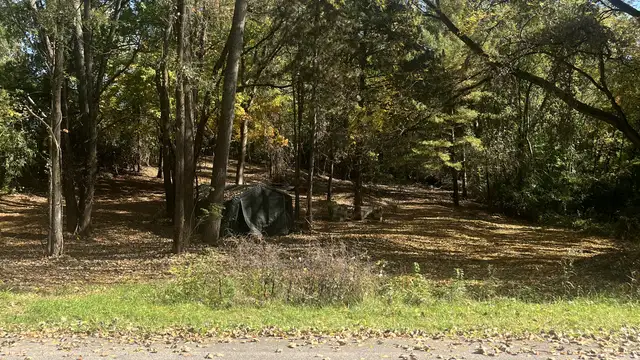 View image 4