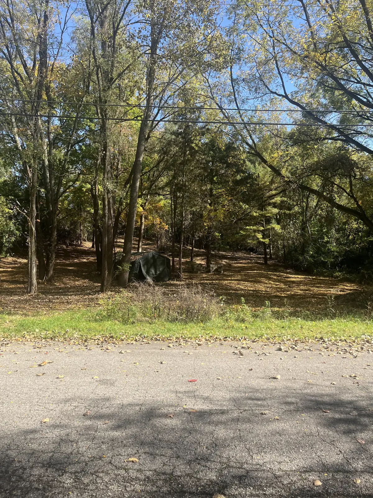 Residential Vacant lot for Sale in Ypsilanti image 4