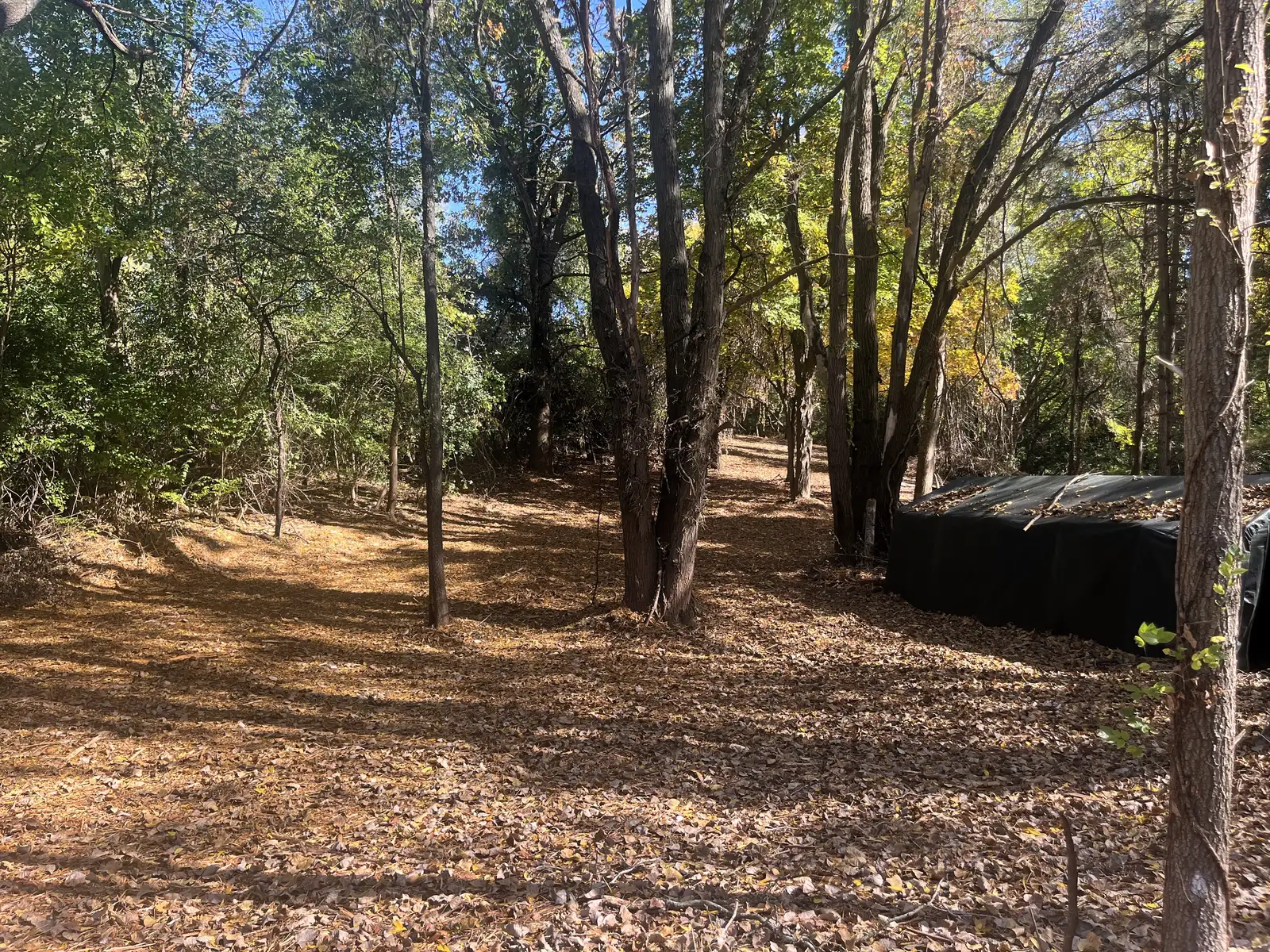 Residential Vacant lot for Sale in Ypsilanti image 6
