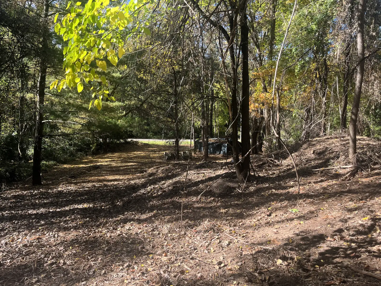 Residential Vacant lot for Sale in Ypsilanti image 8