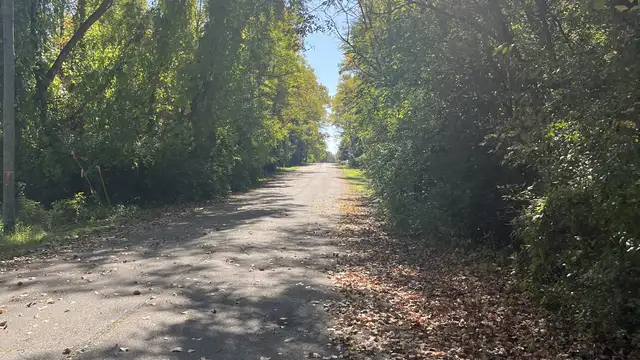View image 10