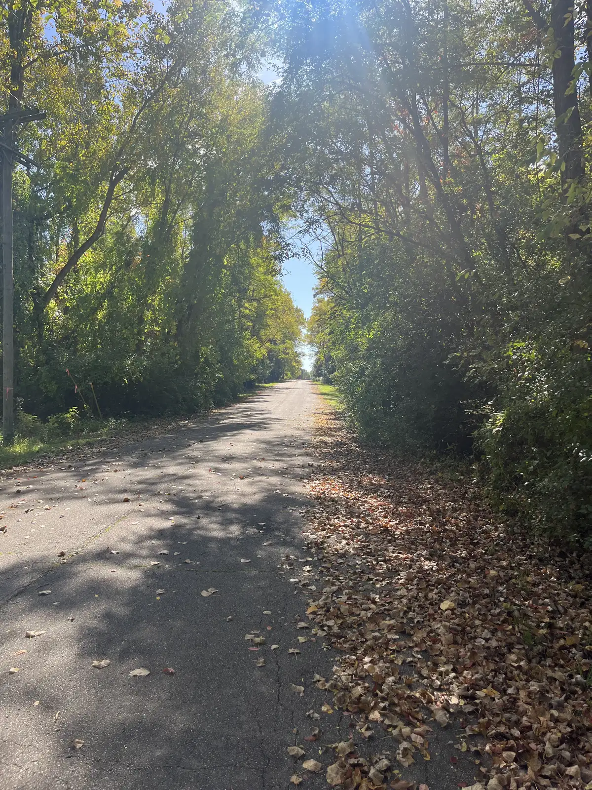 Residential Vacant lot for Sale in Ypsilanti image 10