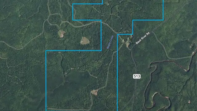 Premier Timber Production along Maple Creek thumbnail 2