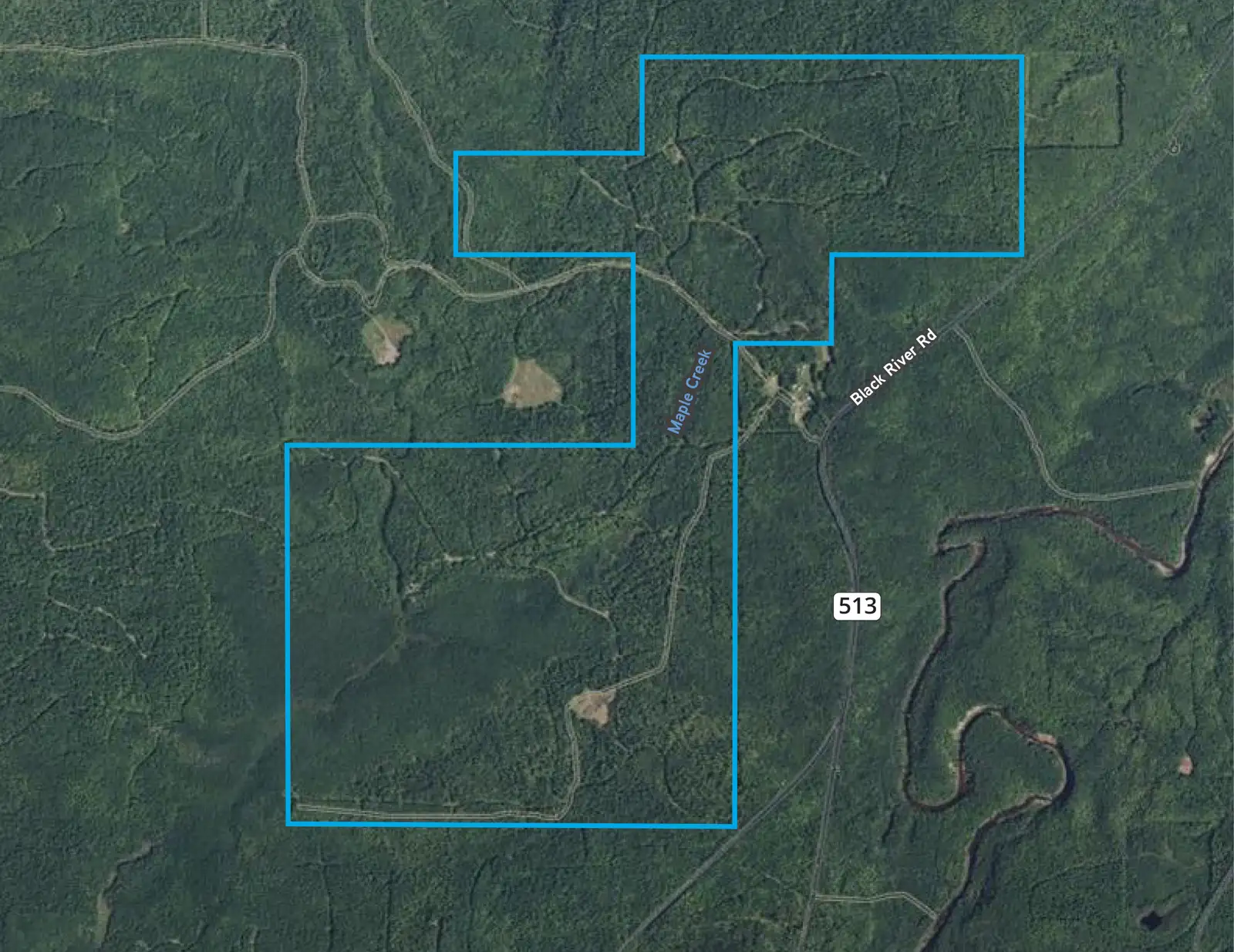Premier Timber Production along Maple Creek image 2
