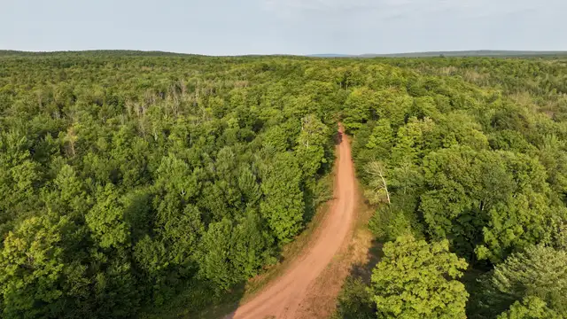 Premier Timber Production along Maple Creek thumbnail 4