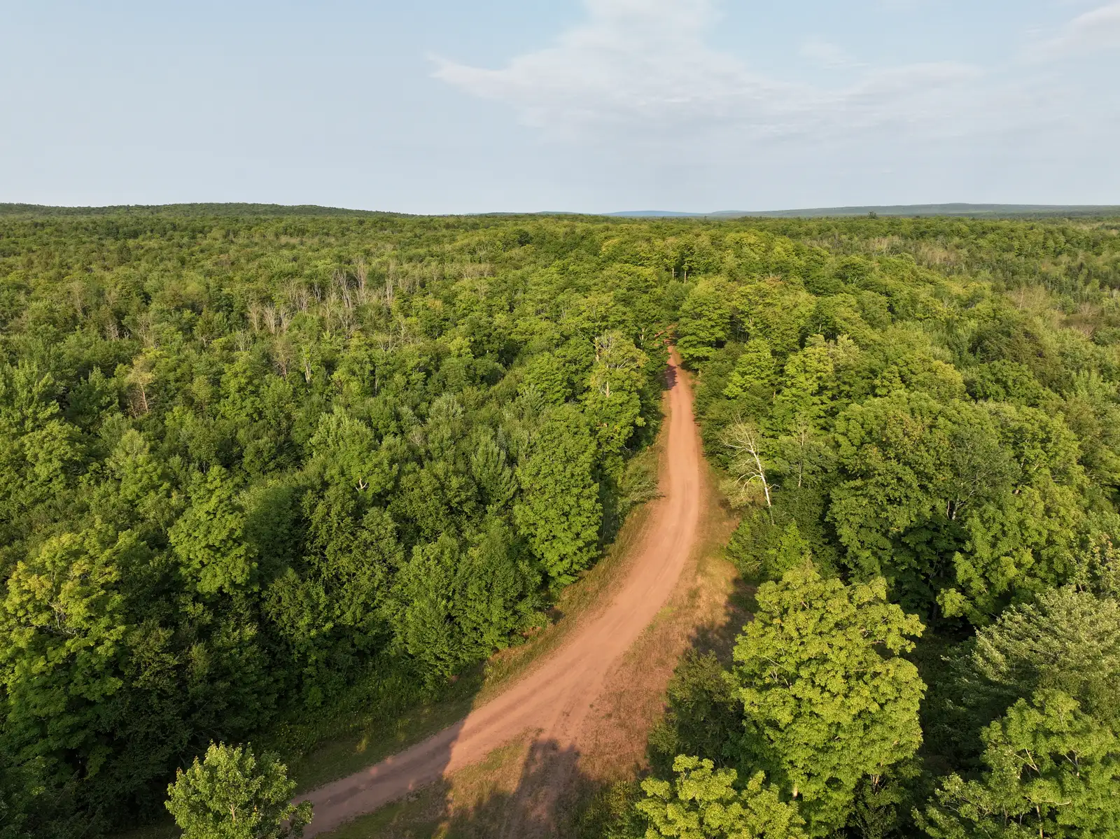 Premier Timber Production along Maple Creek image 4