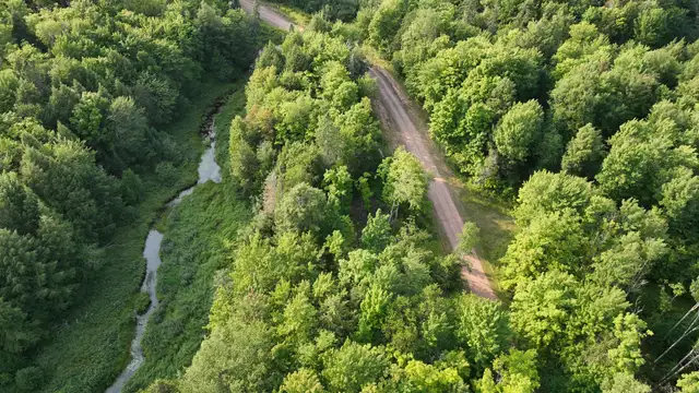 Premier Timber Production along Maple Creek thumbnail 3