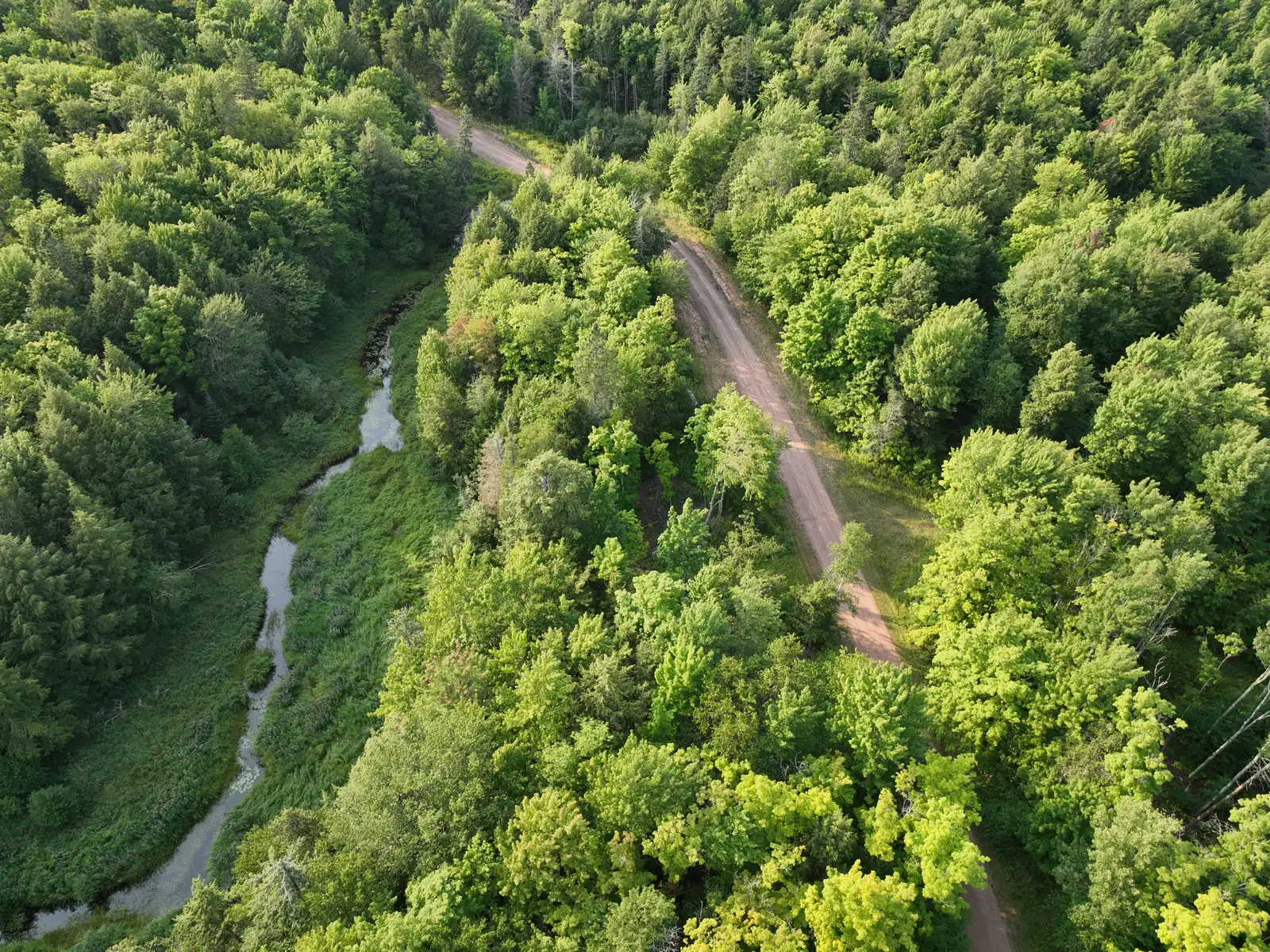 Premier Timber Production along Maple Creek image 3