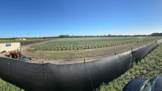 Turner - Former Operating Outdoor Cultivation thumbnail 3