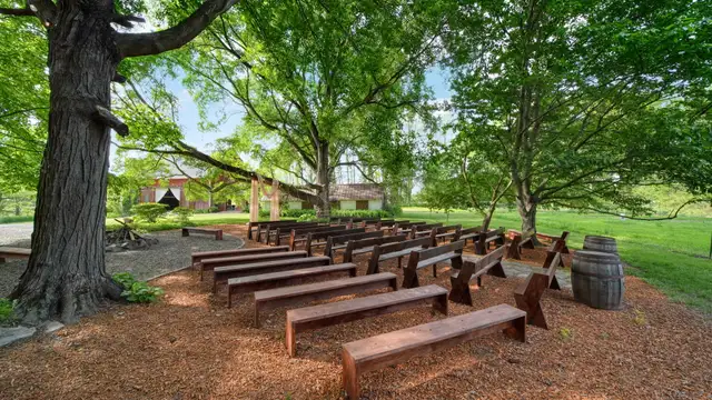 View image 66