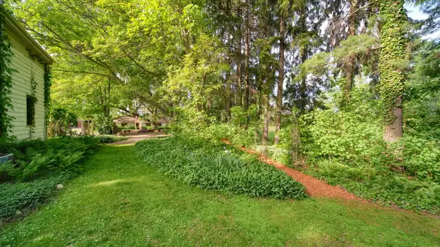 View image 62