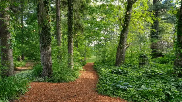 View image 65