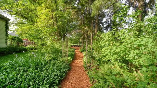 View image 61