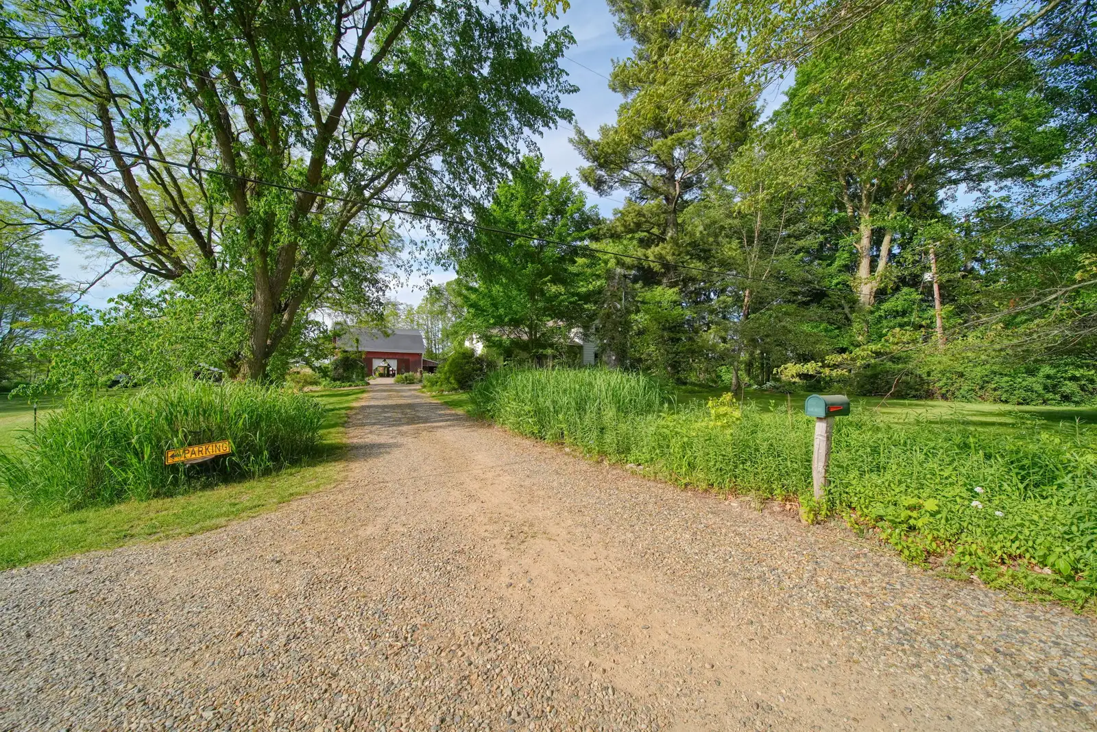 11242 Devereaux Rd image 3