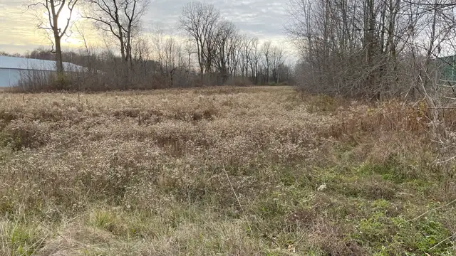 View image 2