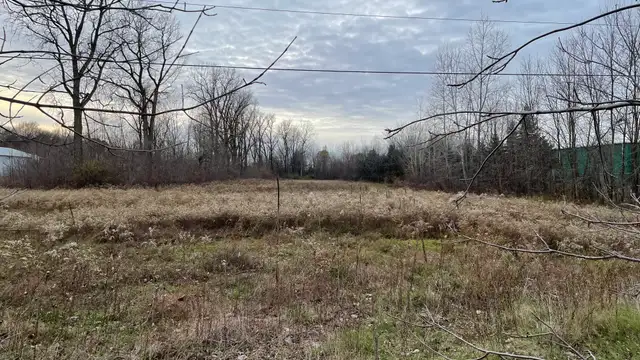 View image 5