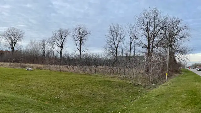 View image 10