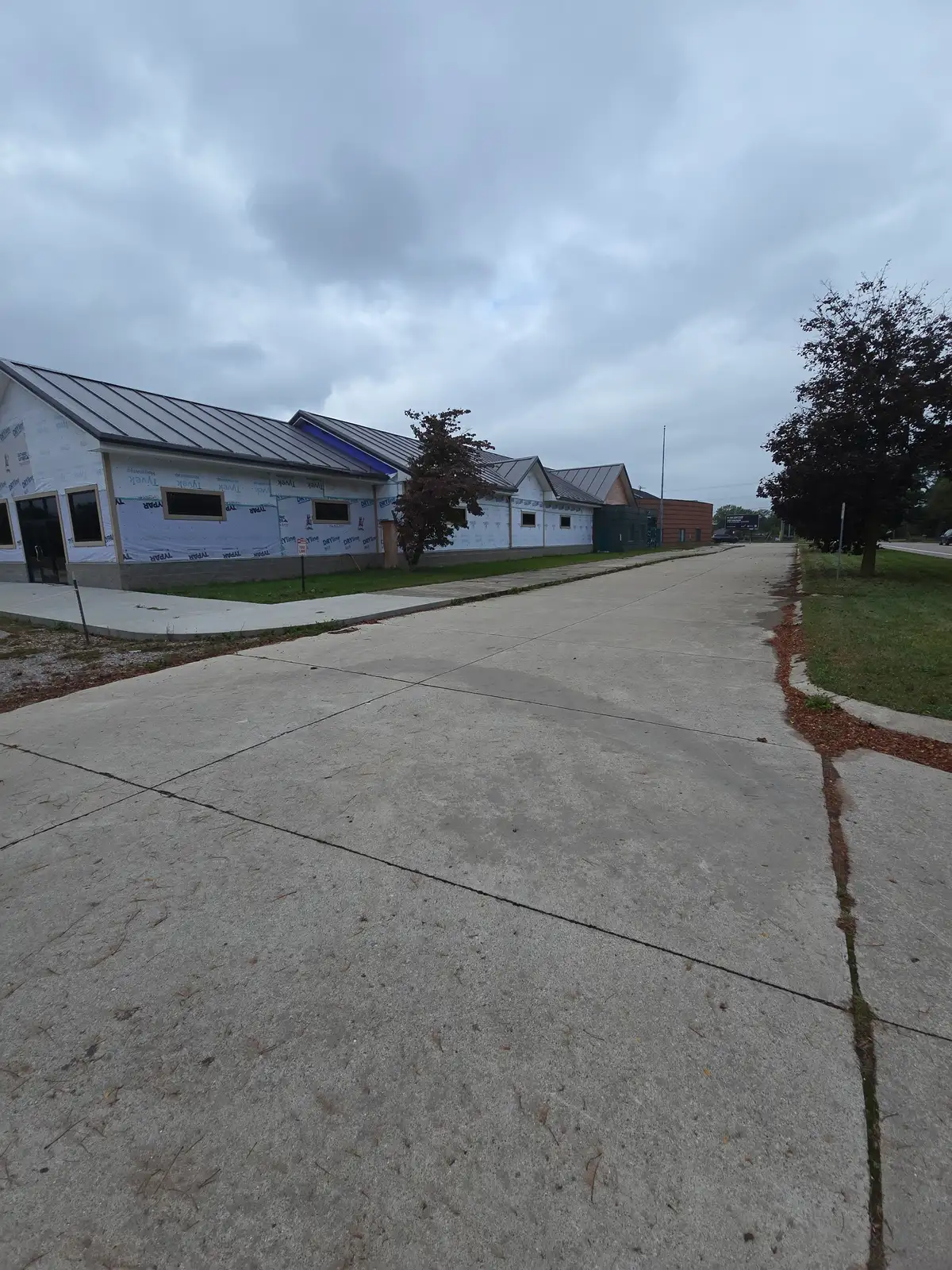 Pinckney - Retail/Office/Industrial/Development Site image 2