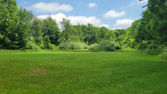 11372 N Linden Rd thumbnail 5