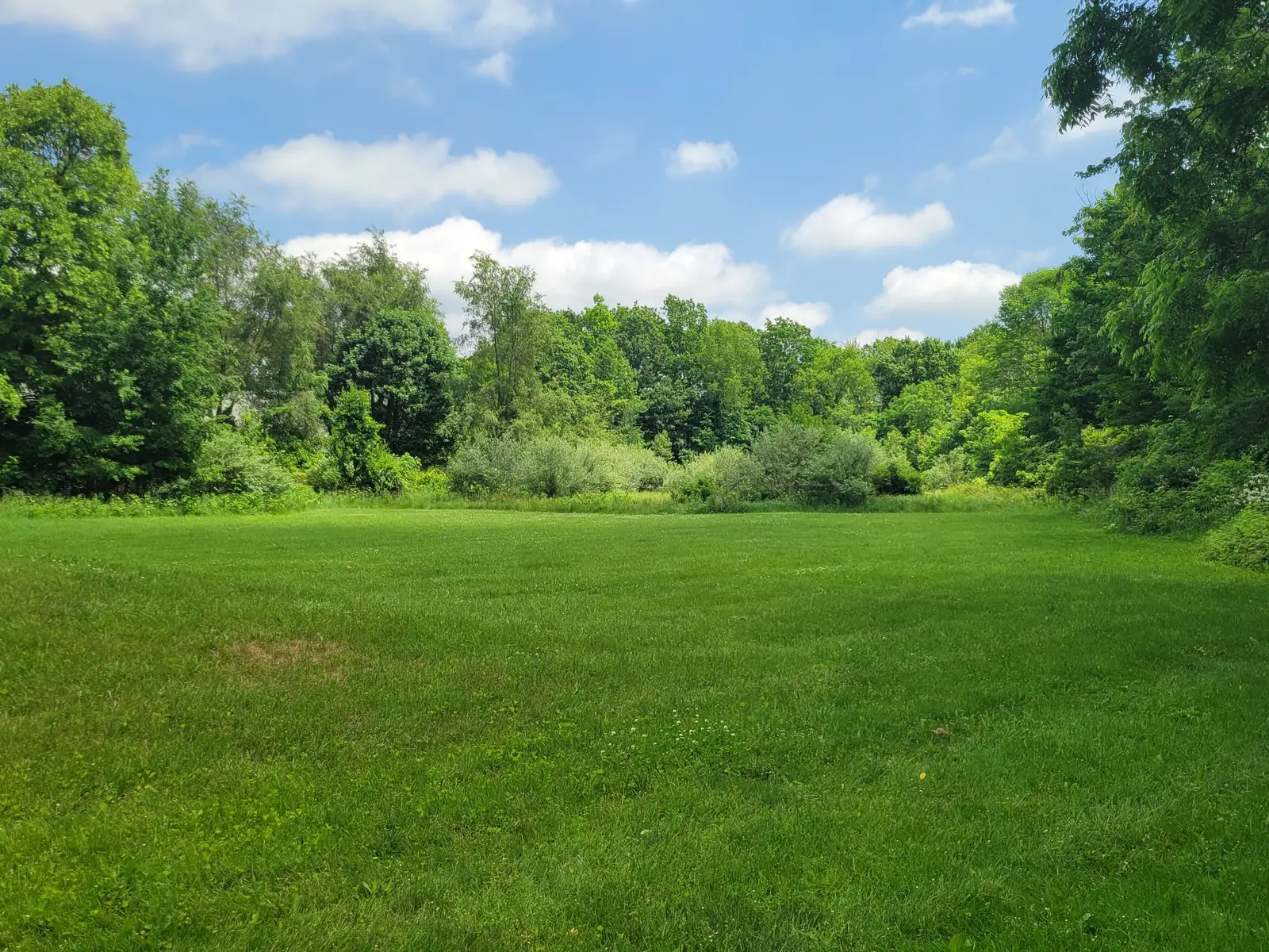 11372 N Linden Rd image 5