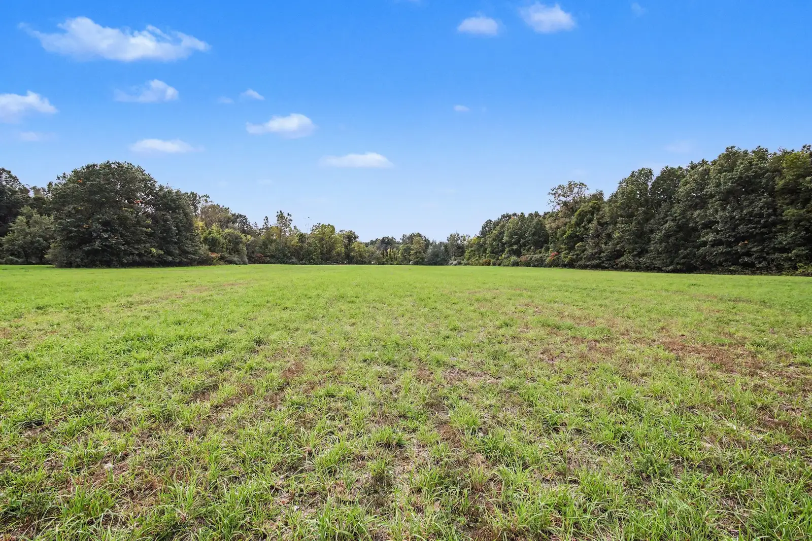 39 Acres Land for Sale - Belleville image 8