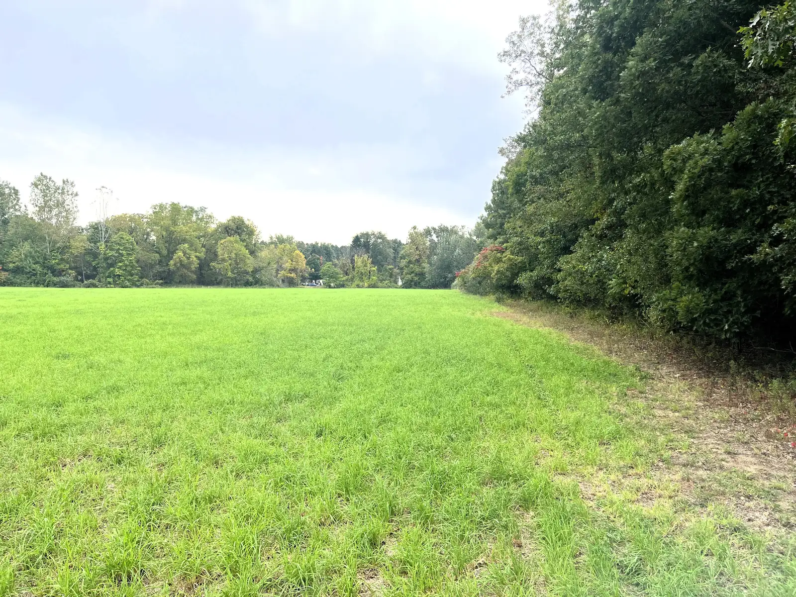 39 Acres Land for Sale - Belleville image 17
