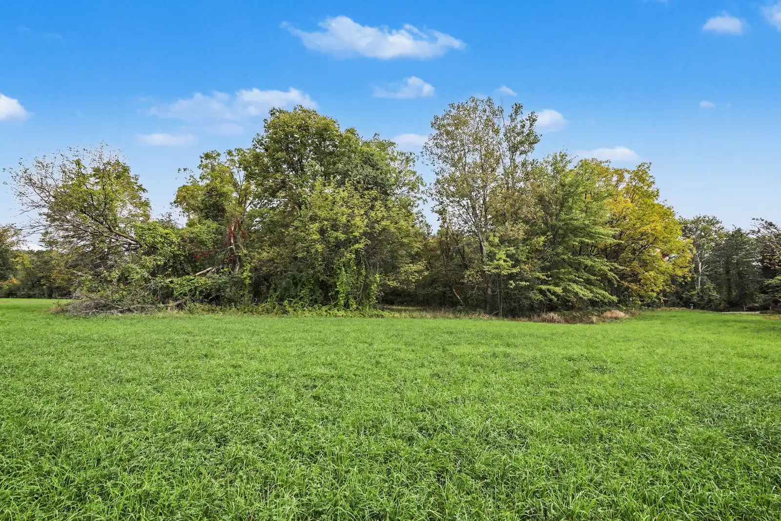 39 Acres Land for Sale - Belleville image 4