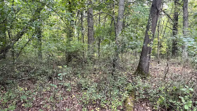 View image 15