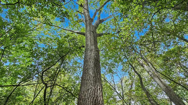 View image 7