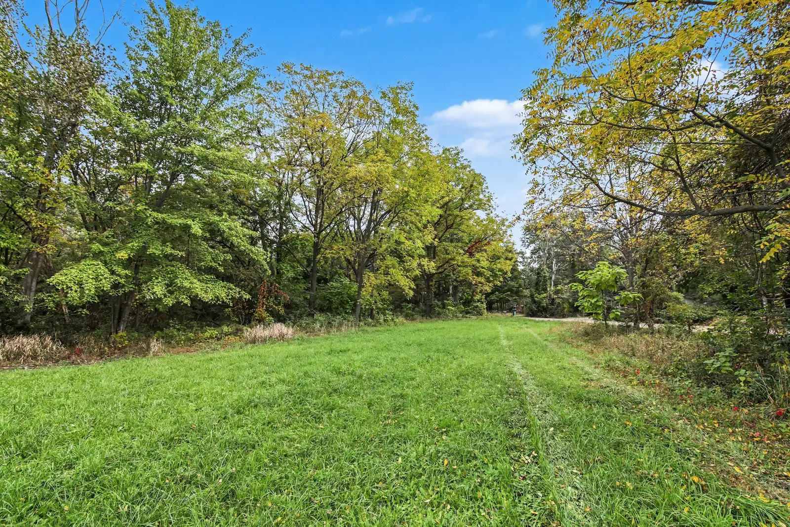 39 Acres Land for Sale - Belleville image 3