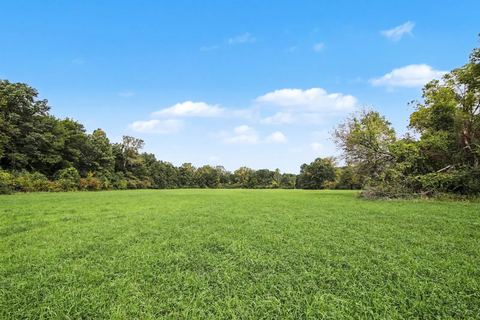 39 Acres Land for Sale - Belleville