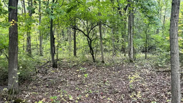 View image 16