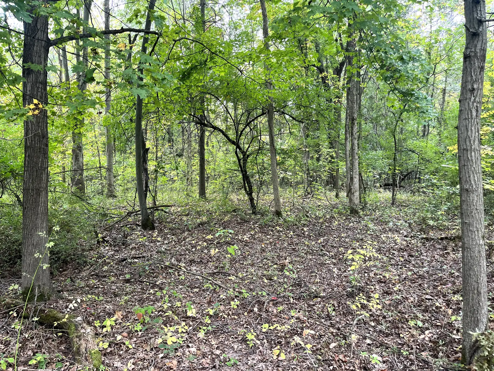 39 Acres Land for Sale - Belleville image 16