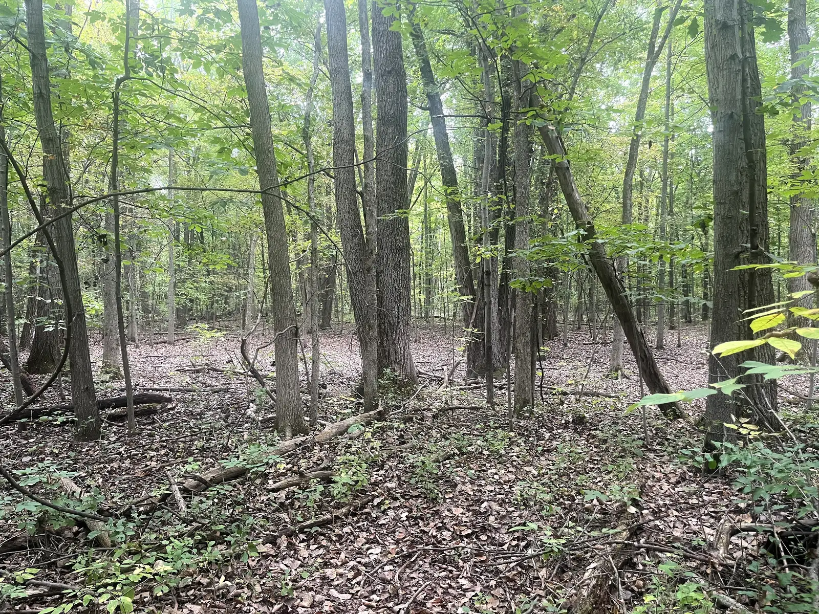 39 Acres Land for Sale - Belleville image 14