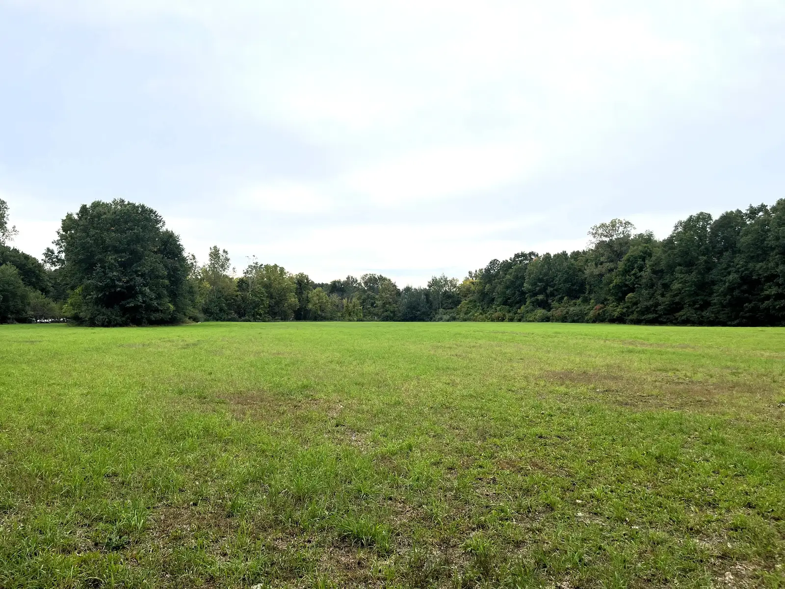 39 Acres Land for Sale - Belleville image 13