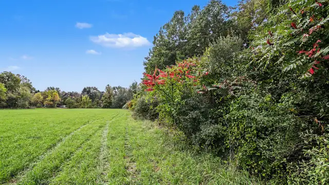 View image 6