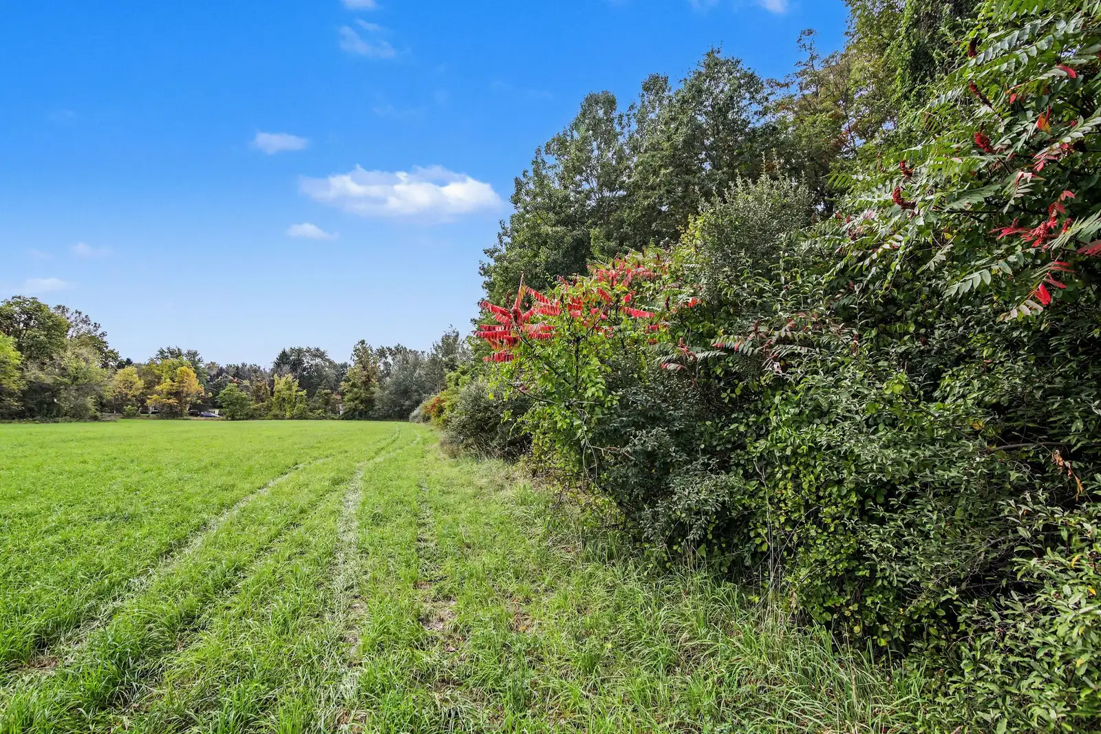39 Acres Land for Sale - Belleville image 6