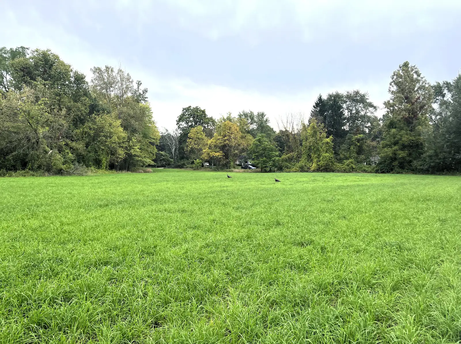 39 Acres Land for Sale - Belleville image 10