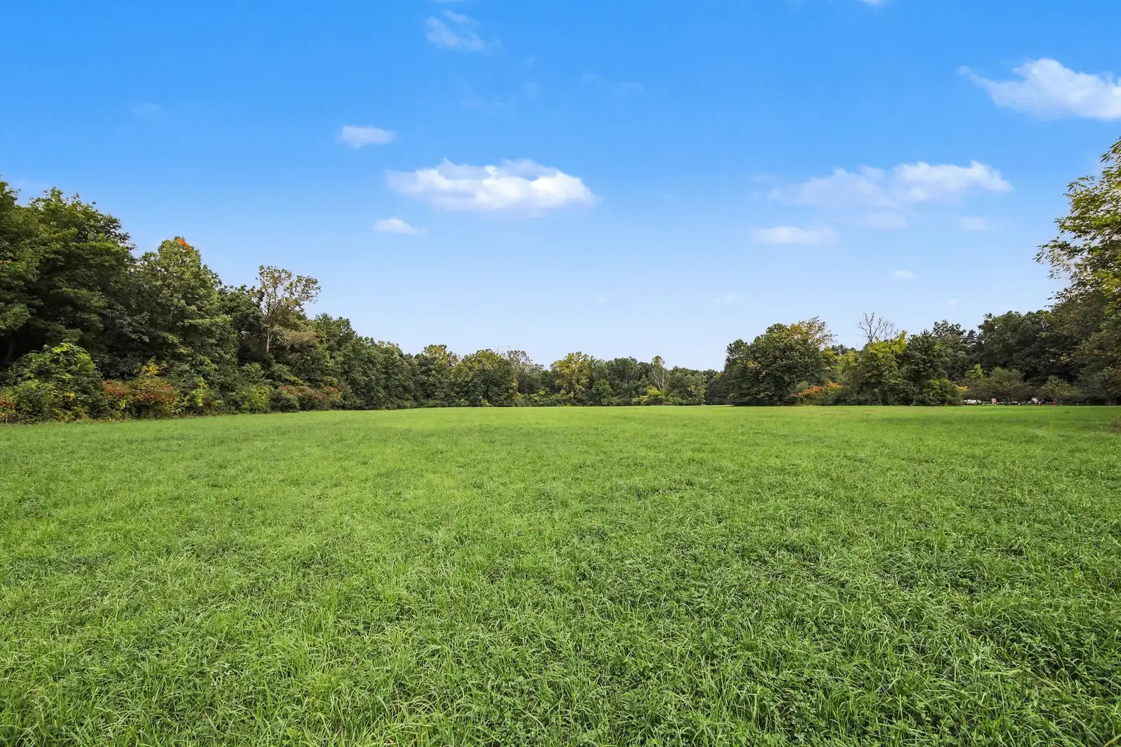 39 Acres Land for Sale - Belleville image 5