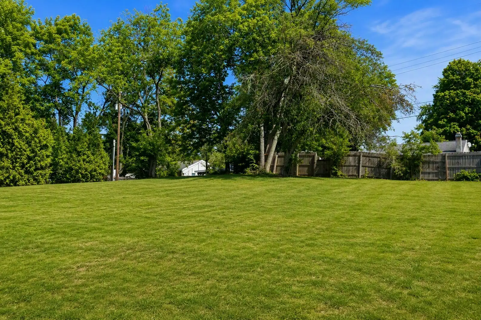 651 E Jolly Rd image 3