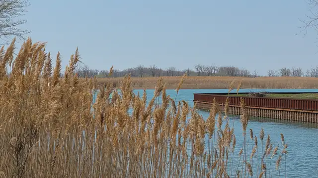 View image 6