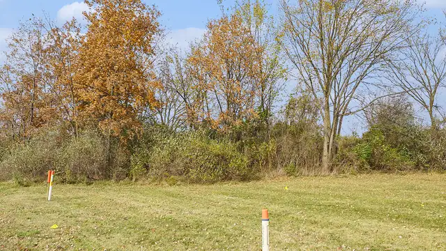 View image 16