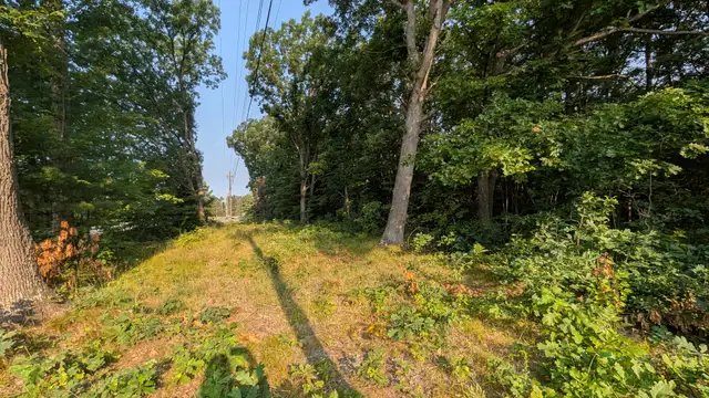 View image 6