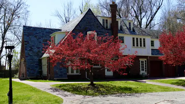 View image 20