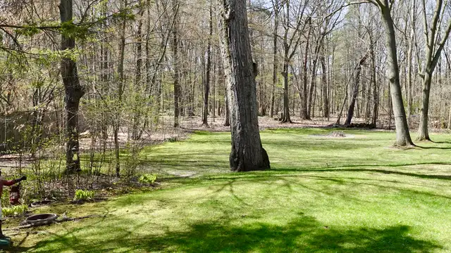 View image 25